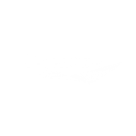 Logo Seventure