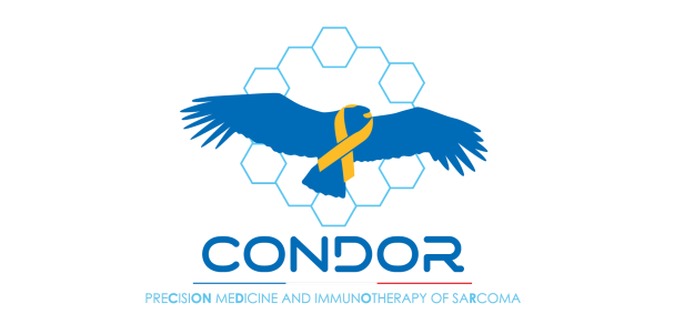 Logo for Condor