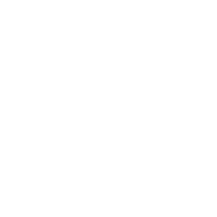 Logo Turenne Capital